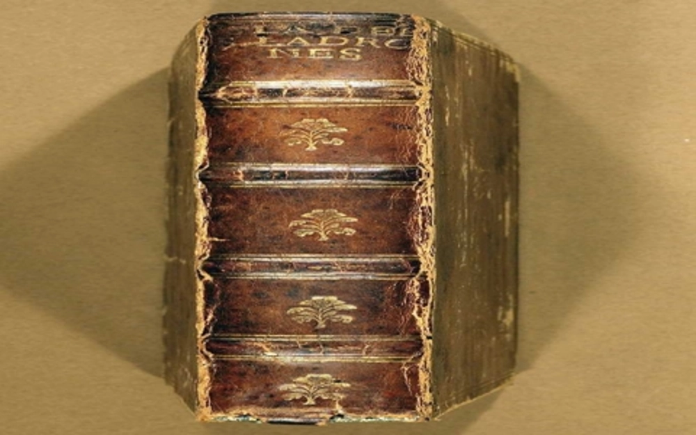 Boxer codex